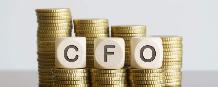 Virtual CFO for financial management in India