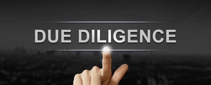 What are Due Diligence Services
